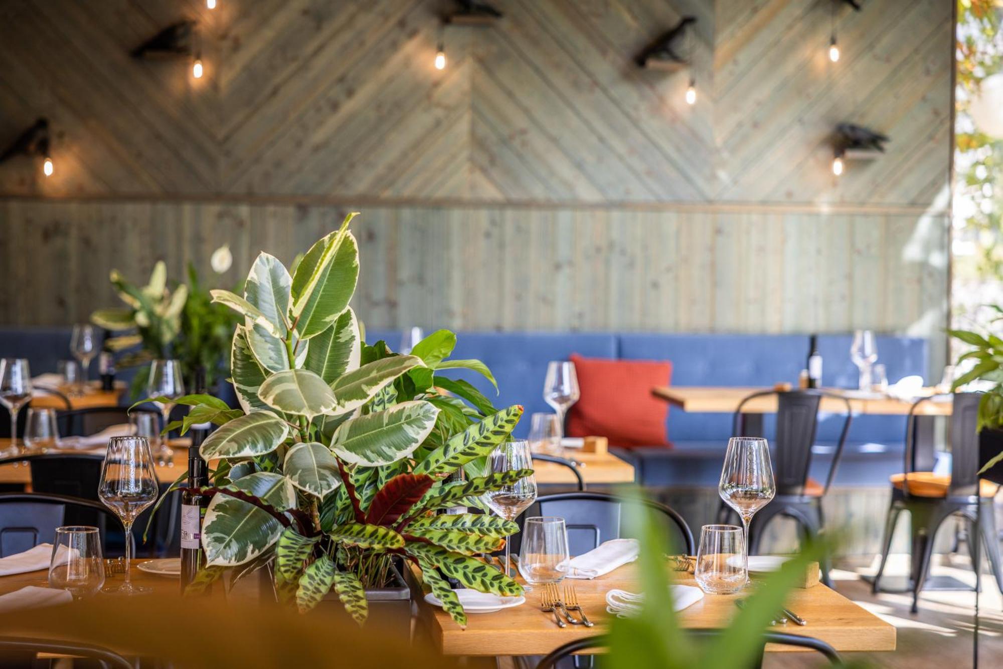 Boutique Hotel Sunrose 7 - Gourmet & Spa (Adults Only) 보히니 외부 사진